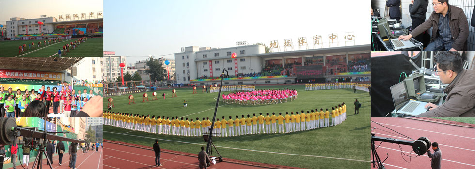 �A���tˎ���F�׌����\�ӕ��F���Ĕz����