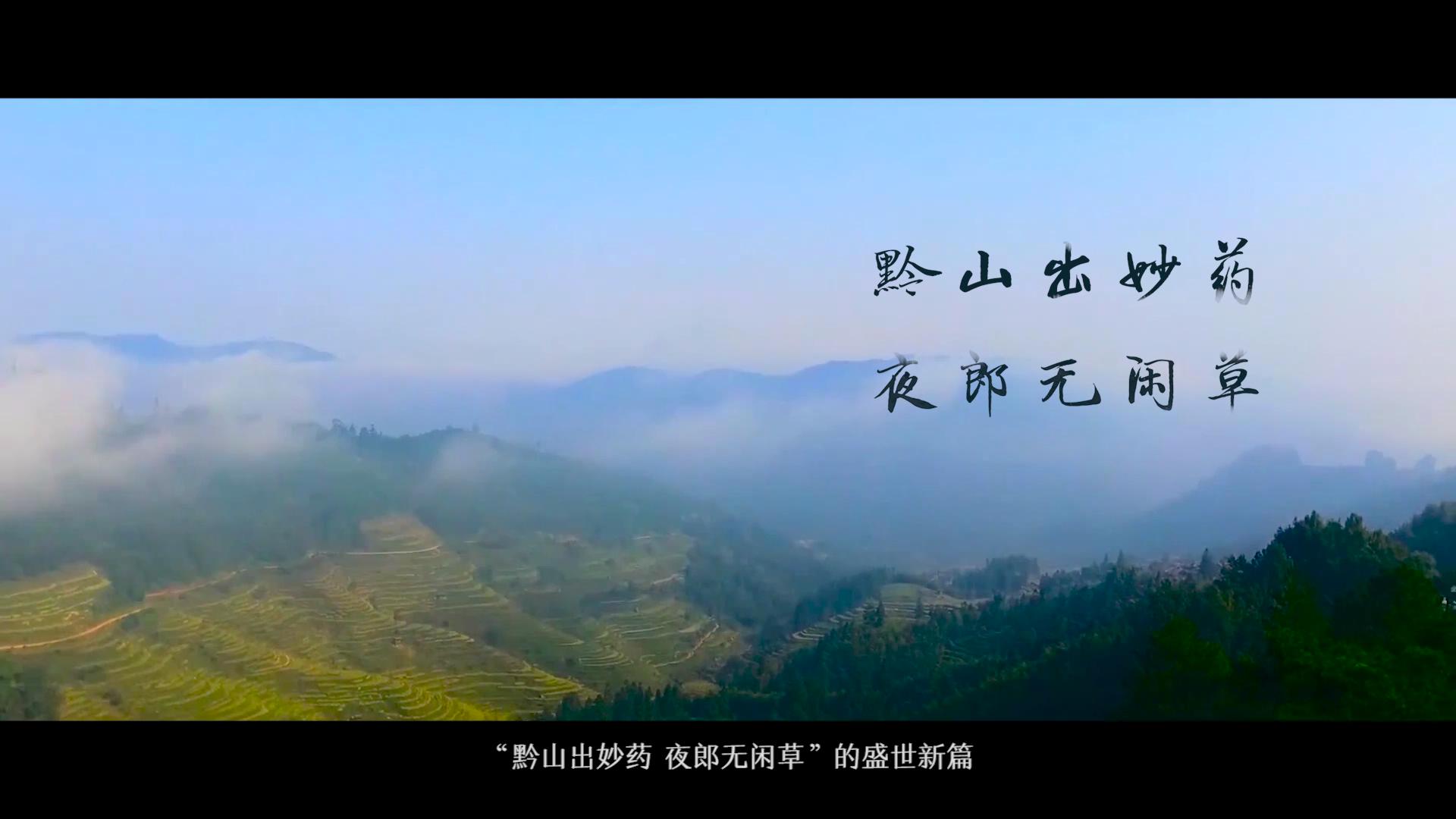 ���¼��F �F��̫����ˎ��˾����Ƭ