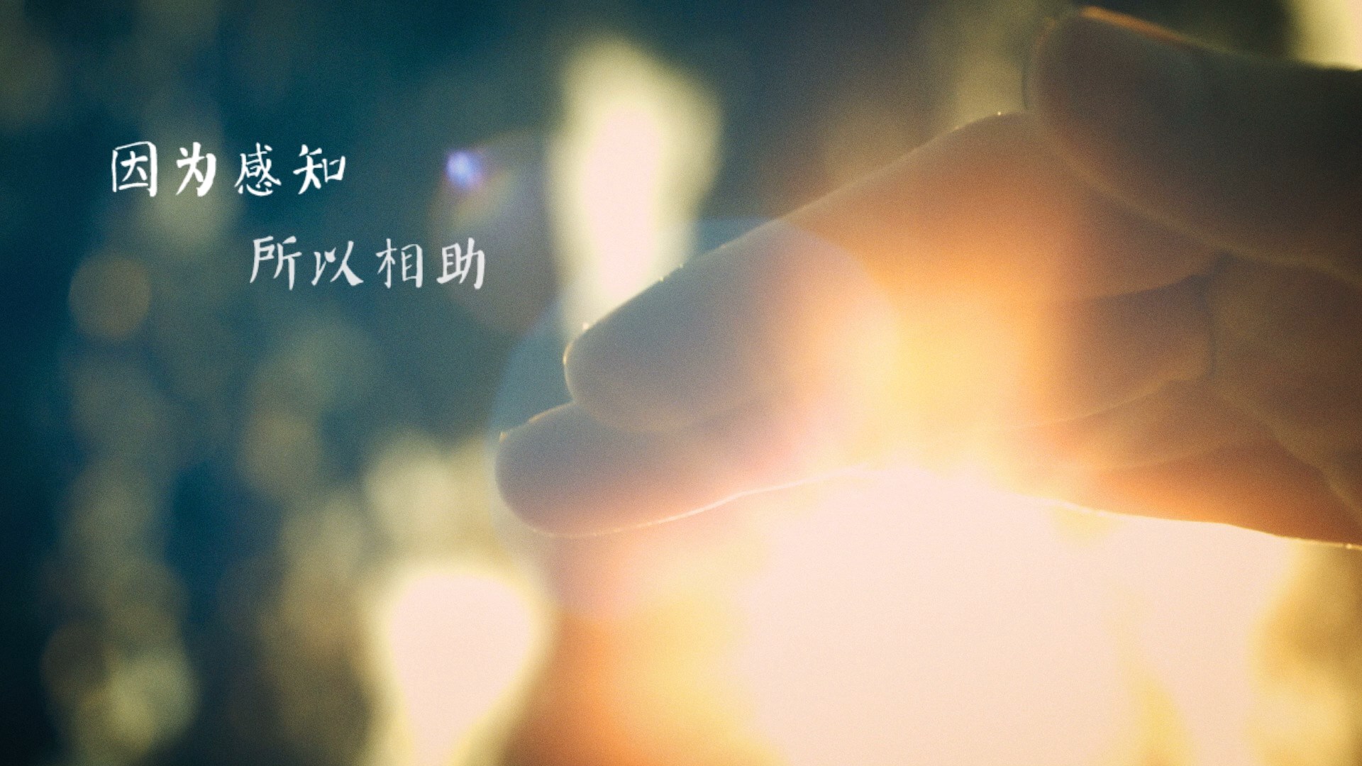 公益體彩 樂善人生